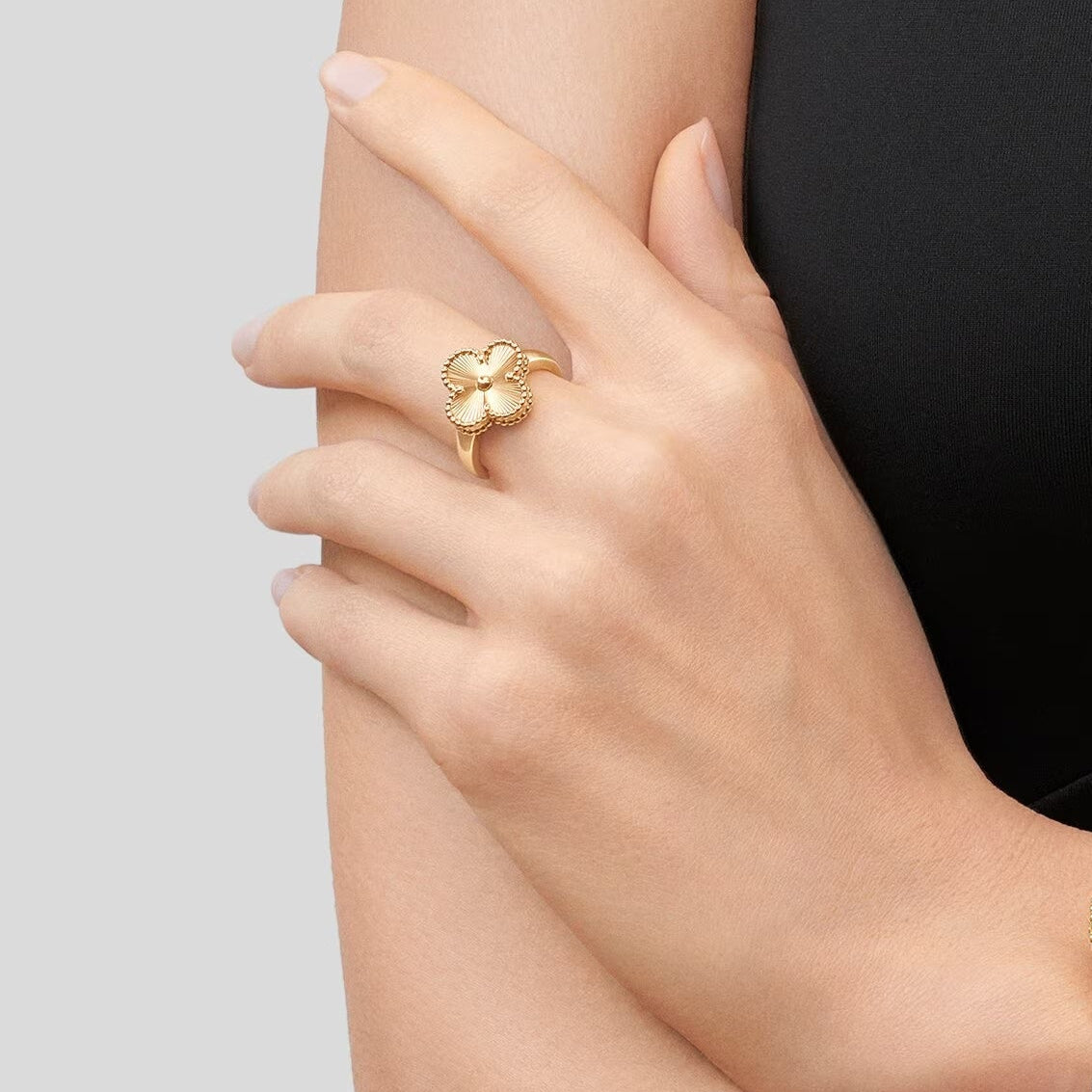 ANILLO BRANDA