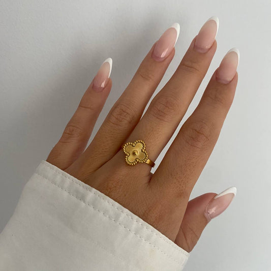 ANILLO BRANDA