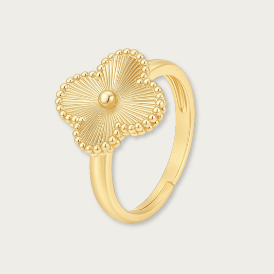 ANILLO BRANDA